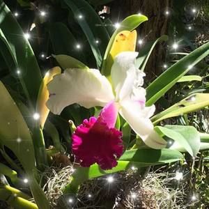 Meet your Posher, Carolin